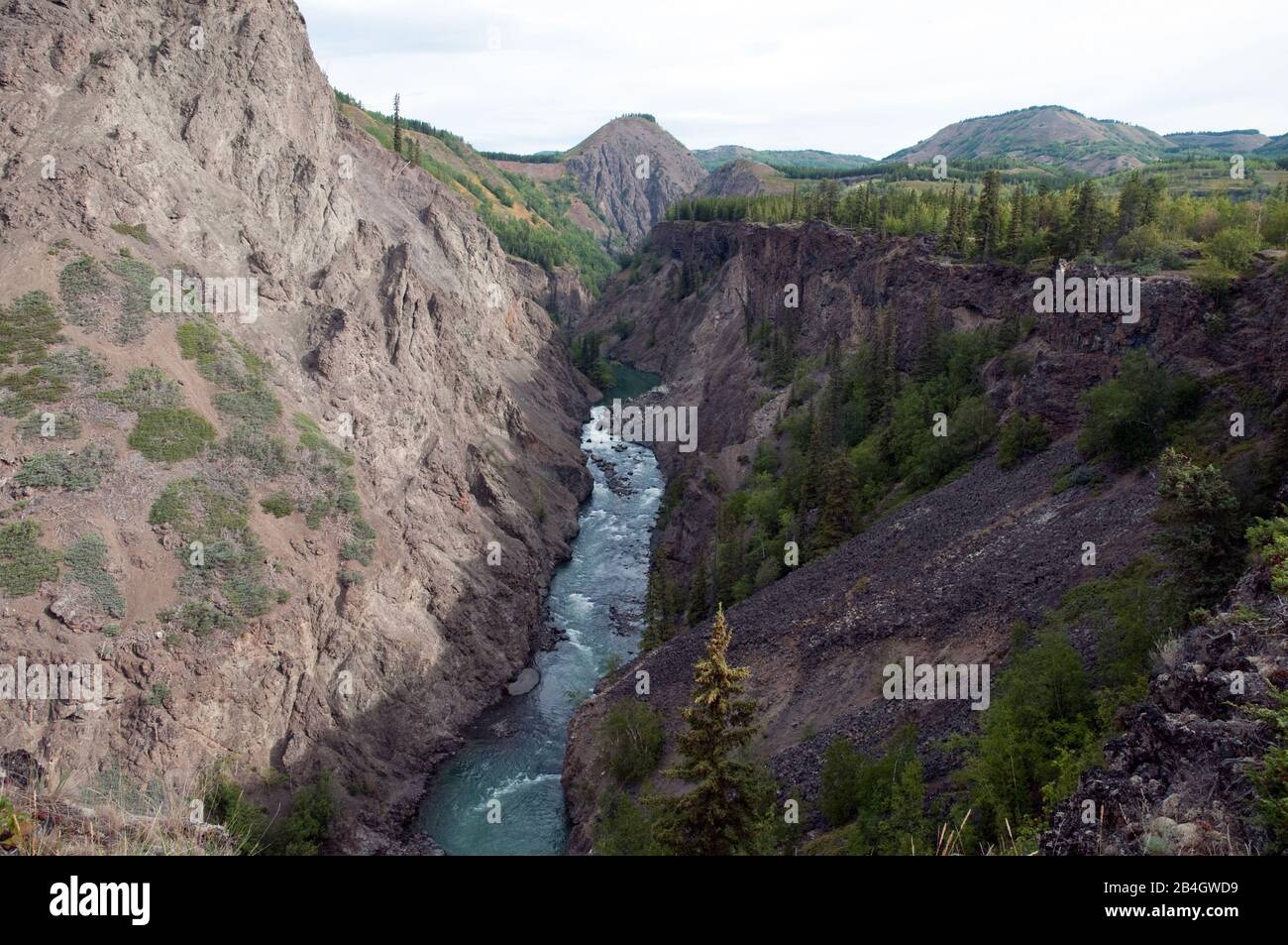 Die steilen Hänge des Grand Canyon des Stikine River in den Spectrum Mountains, in der Nähe von Telegraph Creek im Norden von British Columbia, Kanada. Stockfoto