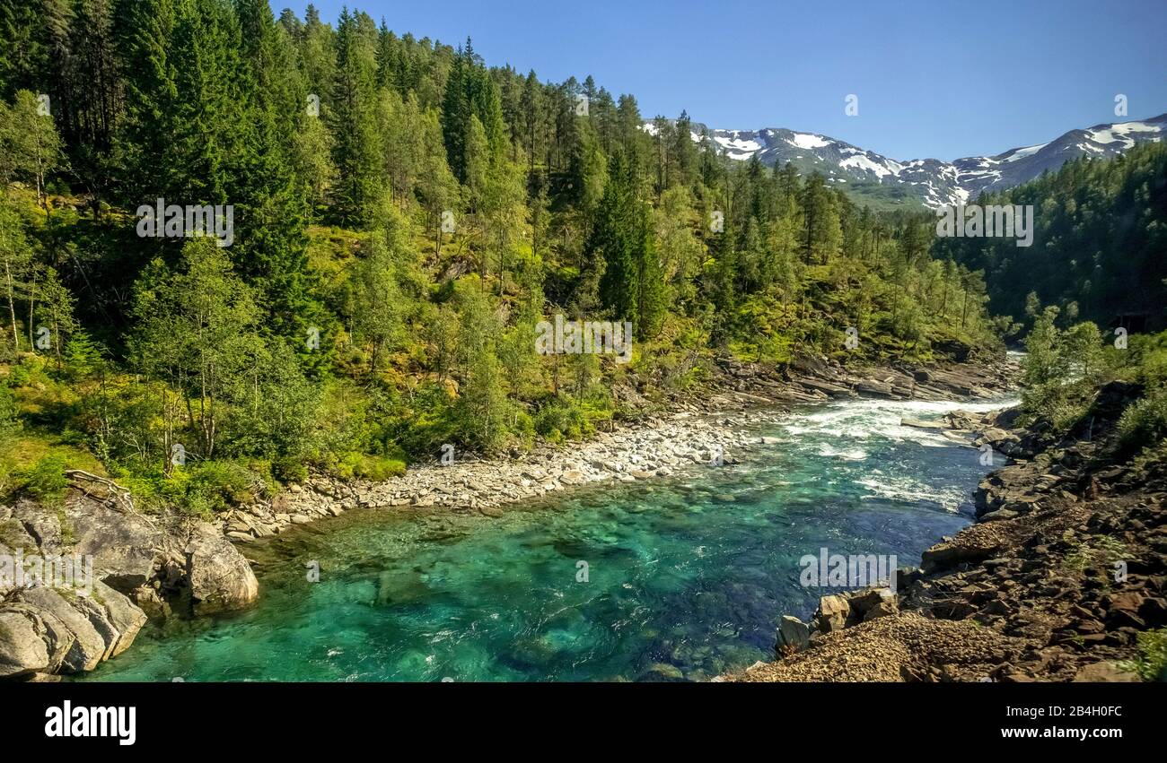 Fluss in den Bergen, Wald, Steine, Himmel, Vossestrand, Hordaland, Norwegen, Skandinavien, Europa Stockfoto