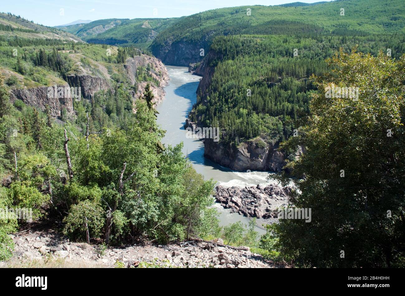 Die steilen Hänge des Grand Canyon des Stikine River in den Spectrum Mountains, in der Nähe von Telegraph Creek im Norden von British Columbia, Kanada. Stockfoto