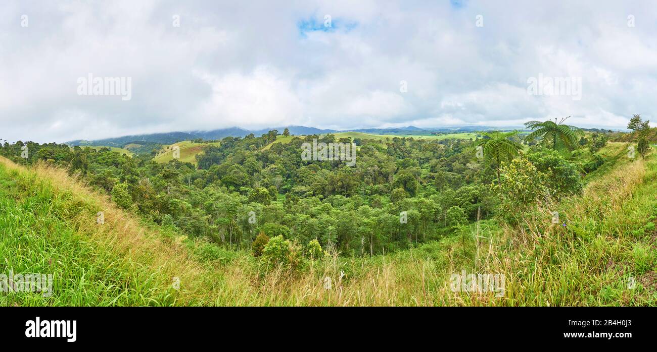 Panorama, Landschaft, Regenwald, Queensland, Australien, Oceania Stockfoto