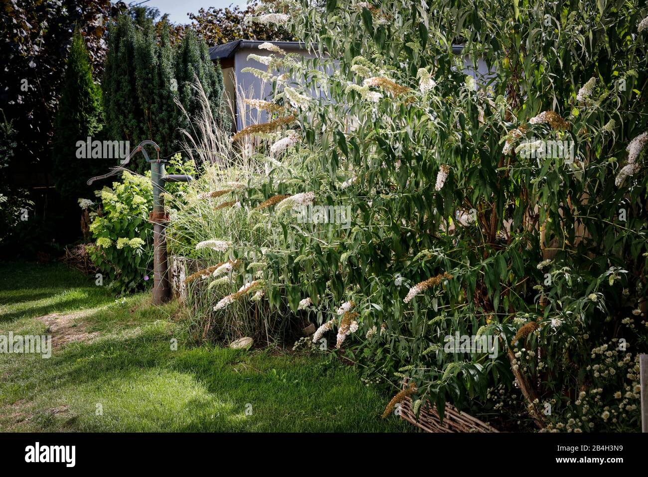 Naturbelassener garten Stockfotos und bilder Kaufen Alamy