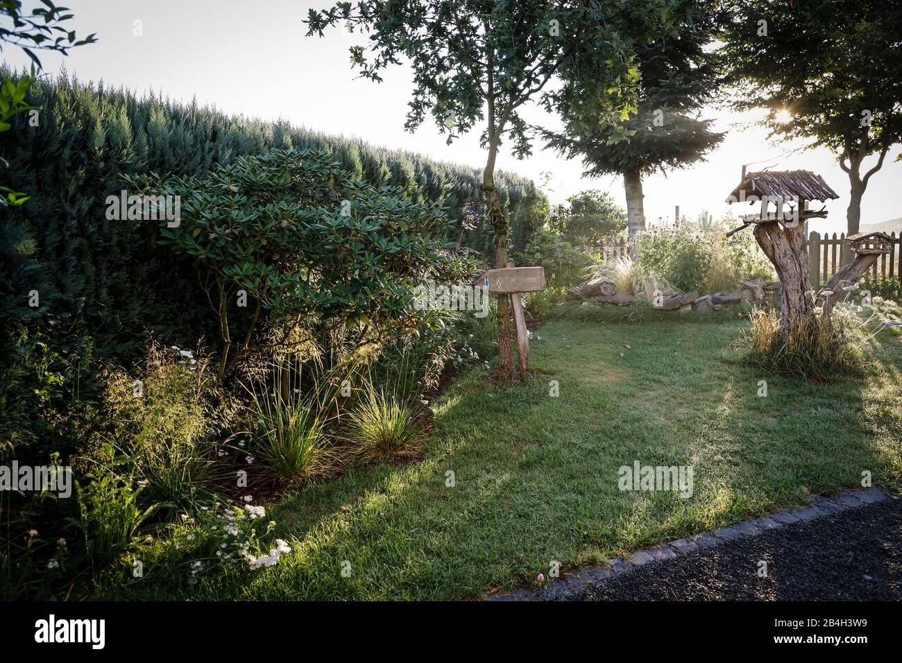 Naturgarten im Morgenlicht Stockfoto