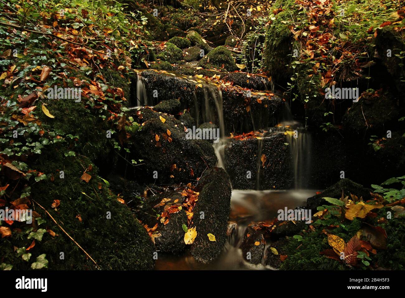 Bockbach im Mühlviertel im Herbst Stockfoto