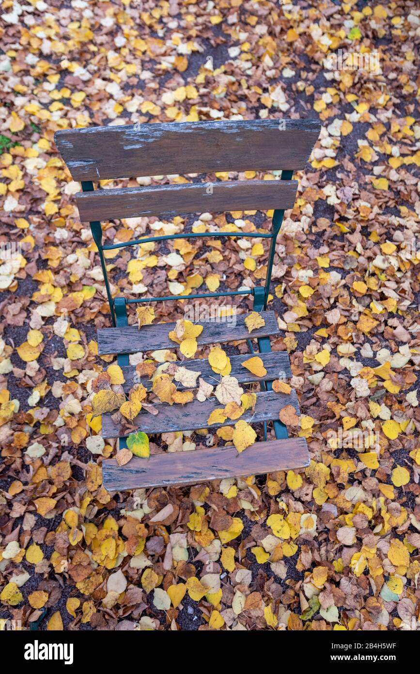 Auf dem Stuhl eines Biergartens liegen gelbe Blätter, die der Herbstwind aus den Bäumen geblasen hat, Stockfoto