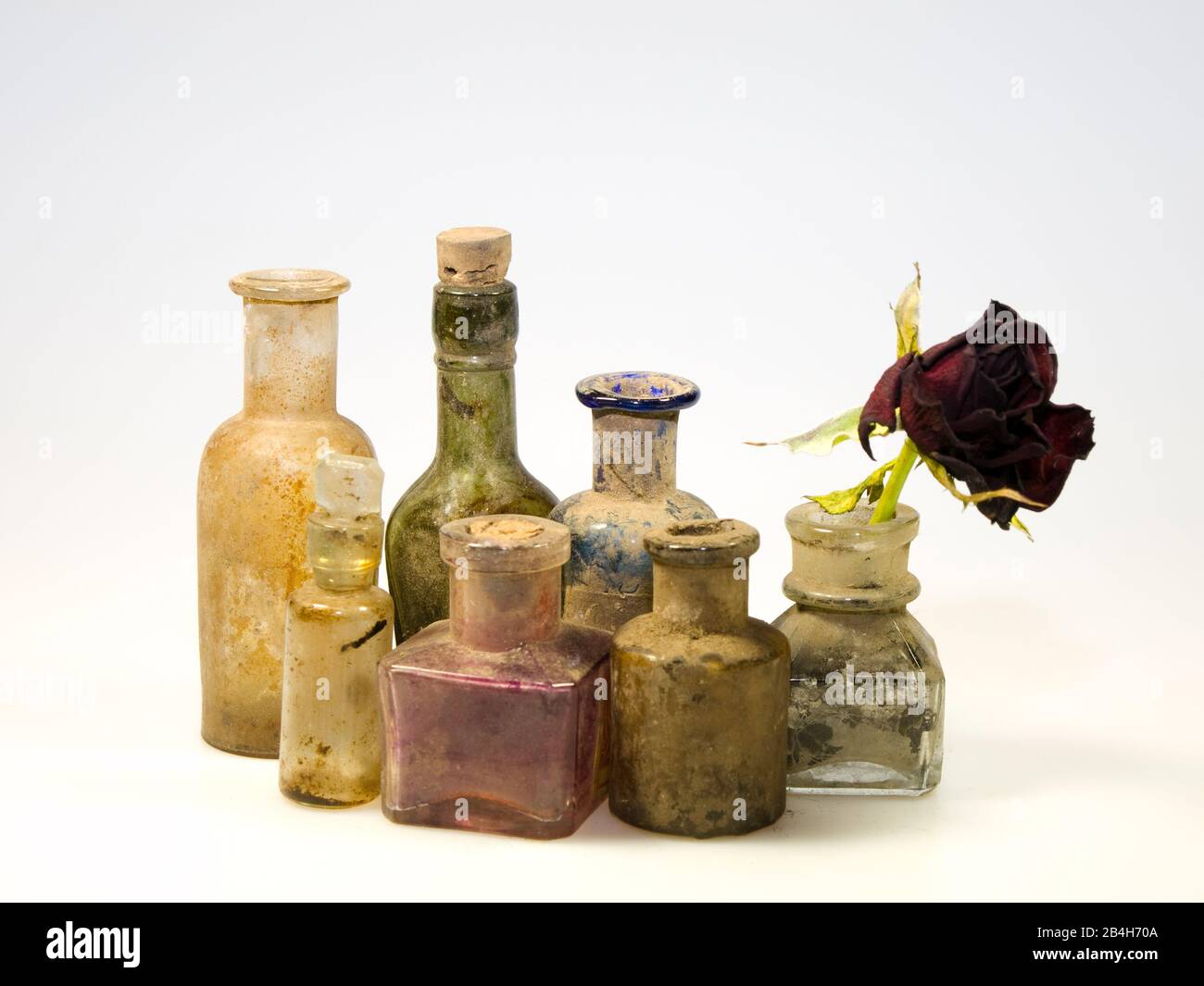 Schmutzige Glasflaschen im ODL-Stil mit trockener Rosenbume Stockfoto