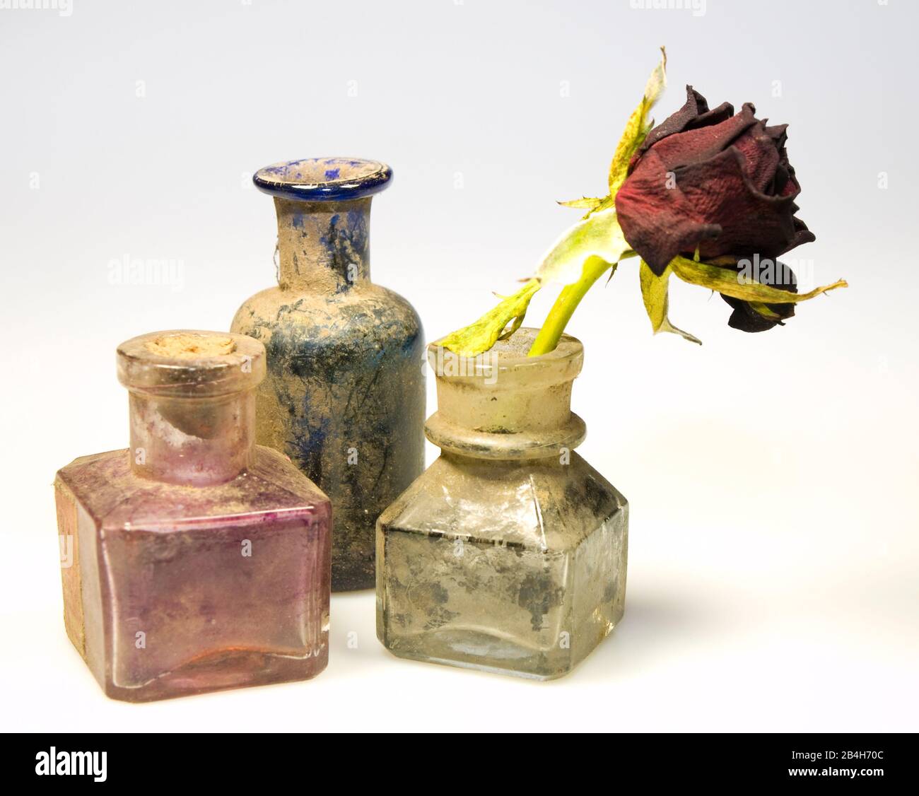 Schmutzige Glasflaschen im ODL-Stil mit trockener Rosenbume Stockfoto