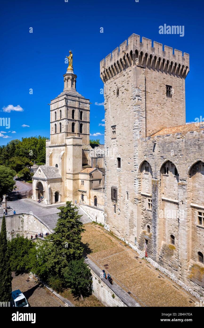 Avignon, Papst-Palast Stockfoto