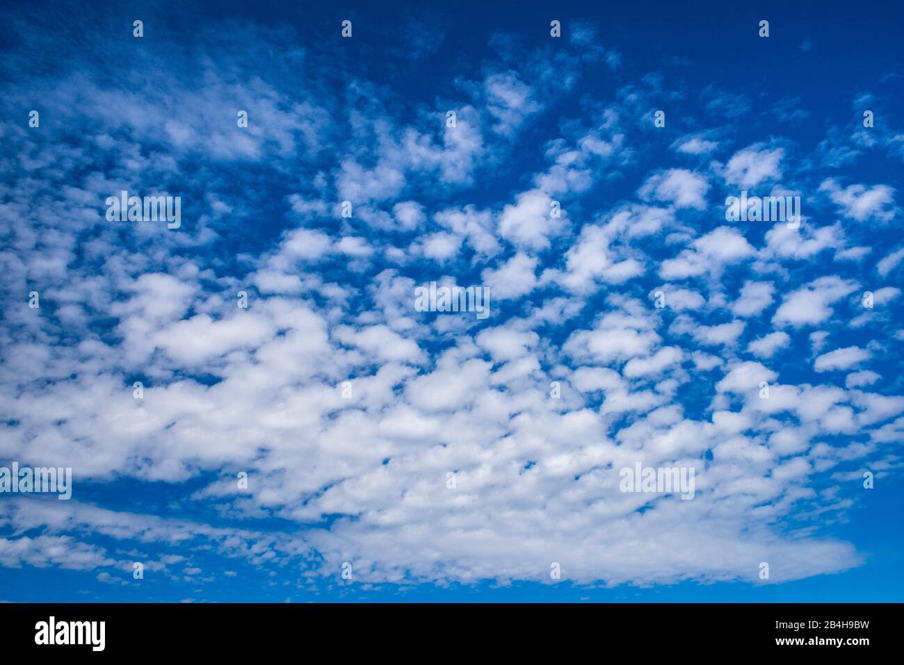 Schönes Wetter Cumulus Wolke vor blauem Himmel Stockfoto