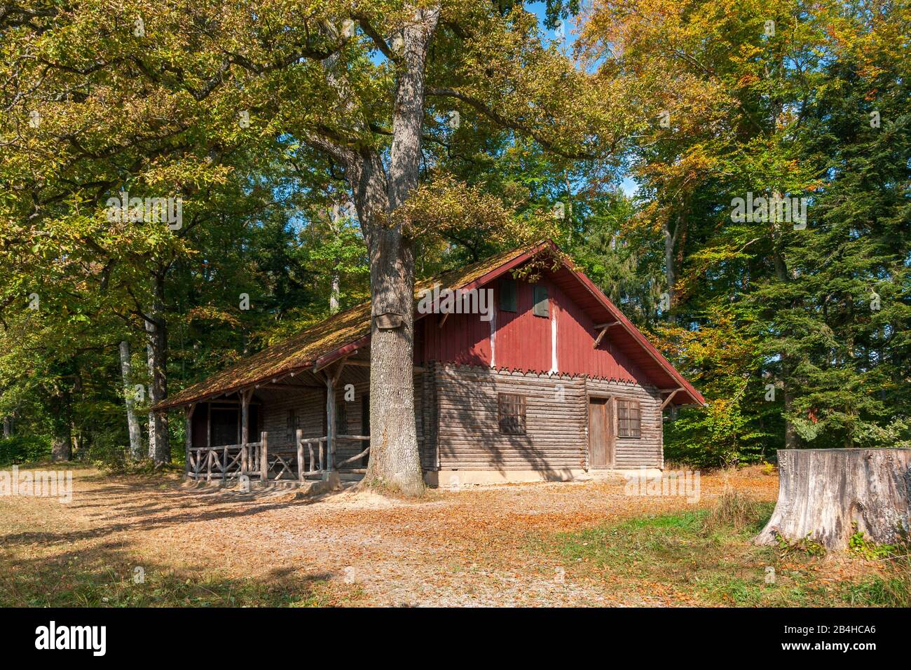 Deutschland, Baden-Württemberg, Tübingen-Bebenhausen, Königliches Jagdschloss im Schönbuch an der Steingart Stockfoto