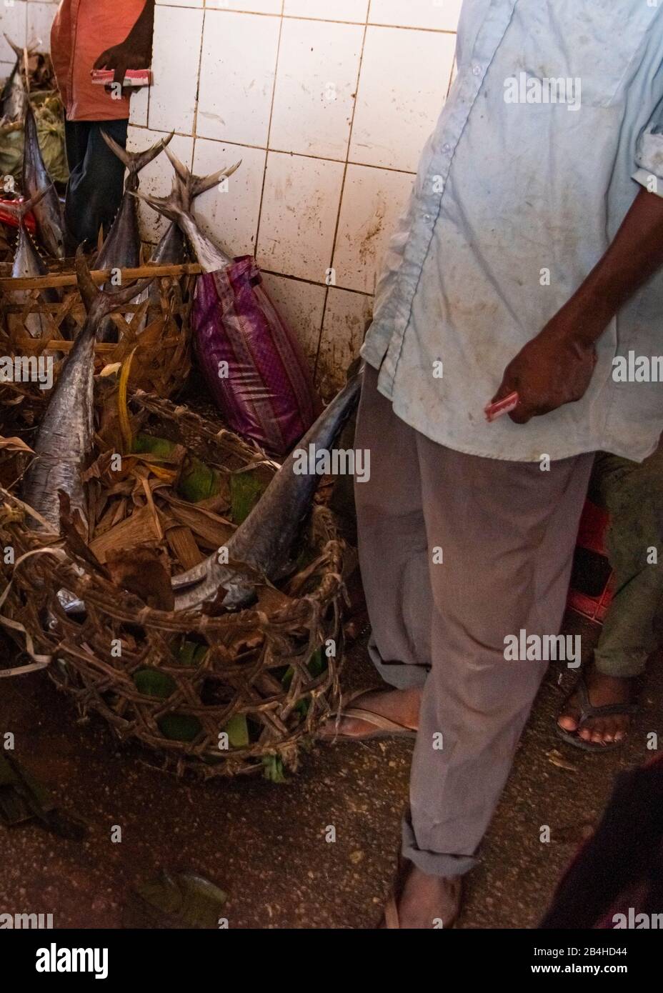 Destination Tanzania, Insel Sansibar: Impressionen aus Stone Town, dem ältesten Stadtteil Sansibars, der Hauptstadt des tansanischen Bundesstaats Sansibar. Thunfisch in einem Korb auf dem Fischmarkt. Stockfoto