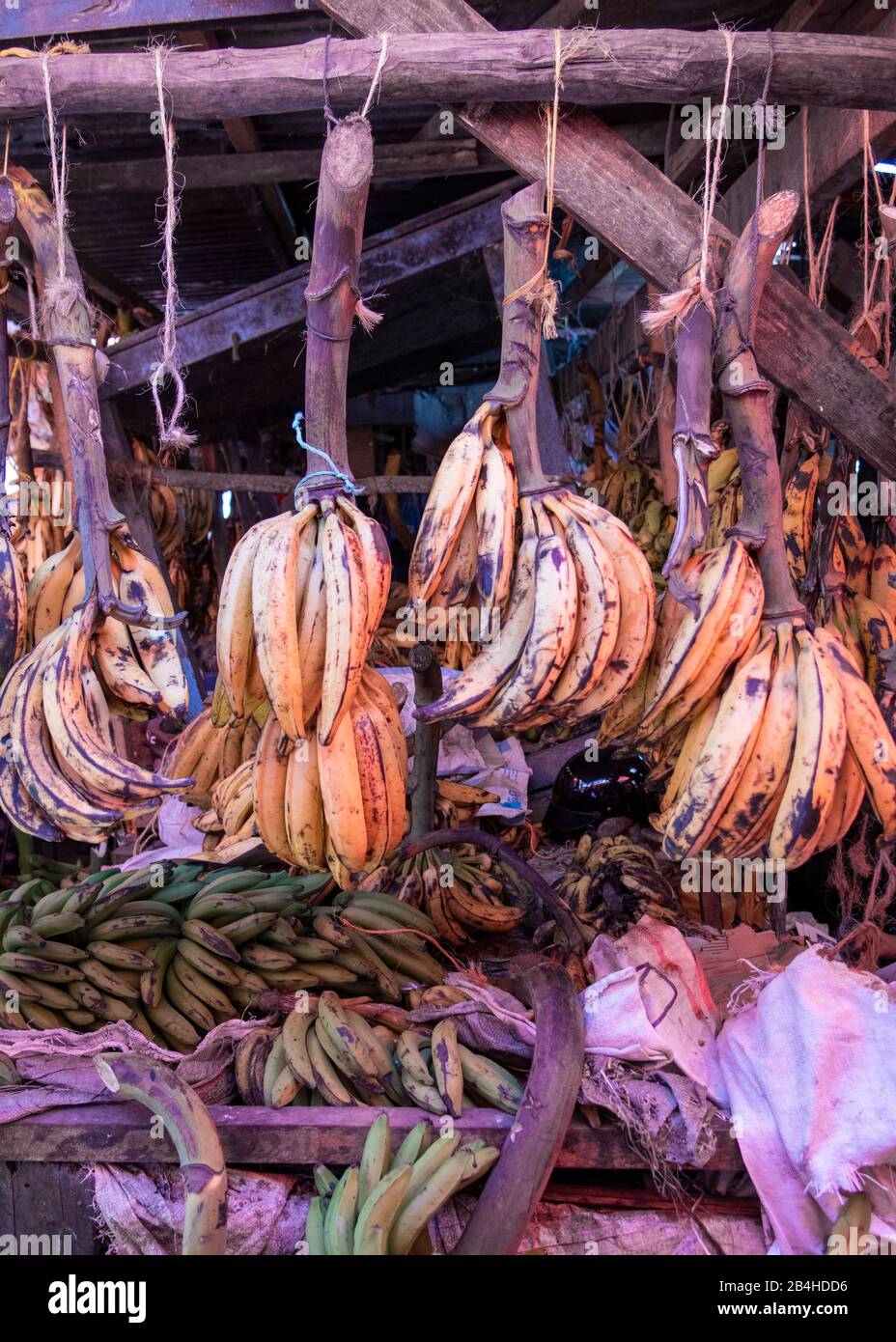 Destination Tanzania, Insel Sansibar: Impressionen aus Stone Town, dem ältesten Teil Sansibars, der Hauptstadt des tansanischen Staates Sansibar. Bananen in der Markthalle Stockfoto