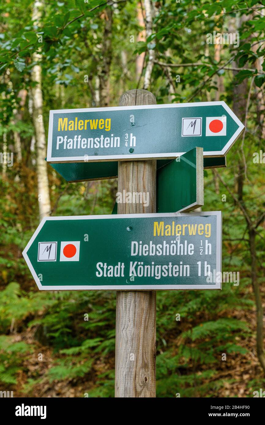 Deutschland, Sachsen, sächsische Schweiz, Königstein, Tafelberg Quirl, Malerweg, Wegweiser zur Diebshöhle und Pfaffenstein Stockfoto