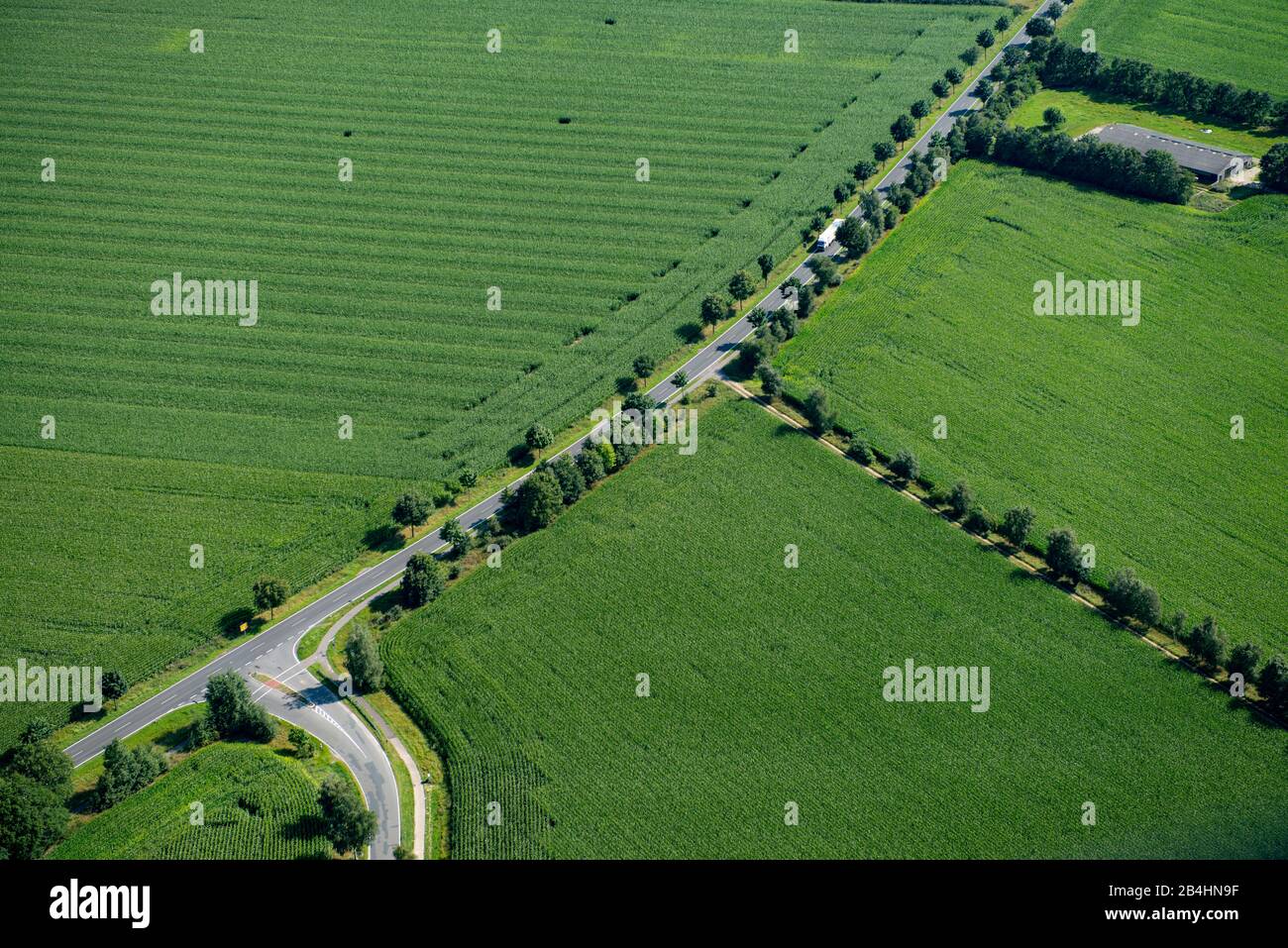 Luftbild einer Landstraße durch Grünfelder Stockfoto