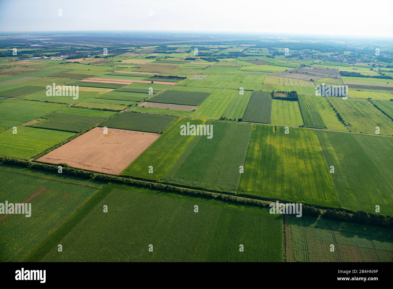 Luftaufnahme einer Landschaft von grünen Feldern Stockfoto