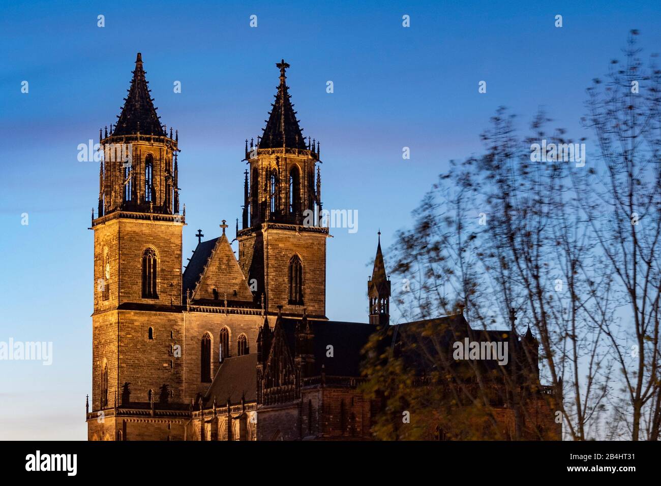 Deutschland, Sachsen-Anhalt, Magdeburg, Blick auf den Dom zu der Blaustunde. Stockfoto