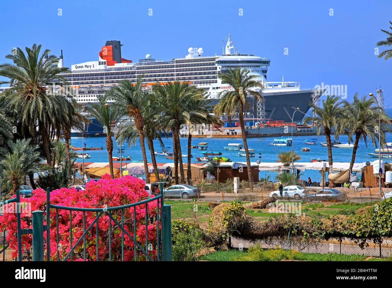 Palmen am Hafen mit Kreuzfahrtschiff Queen Mary 2 Akaba Aqaba, Golf von Akaba, Rotes Meer, Jordanien Stockfoto