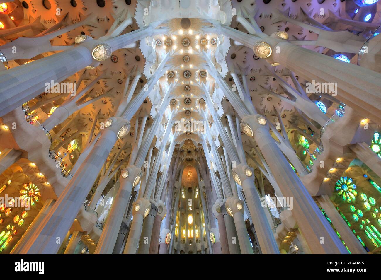 Kirchendecke im Inneren der Kathedrale Sagrada Familia von Antoni Gaudi in Barcelona, Katalonien, Spanien Stockfoto