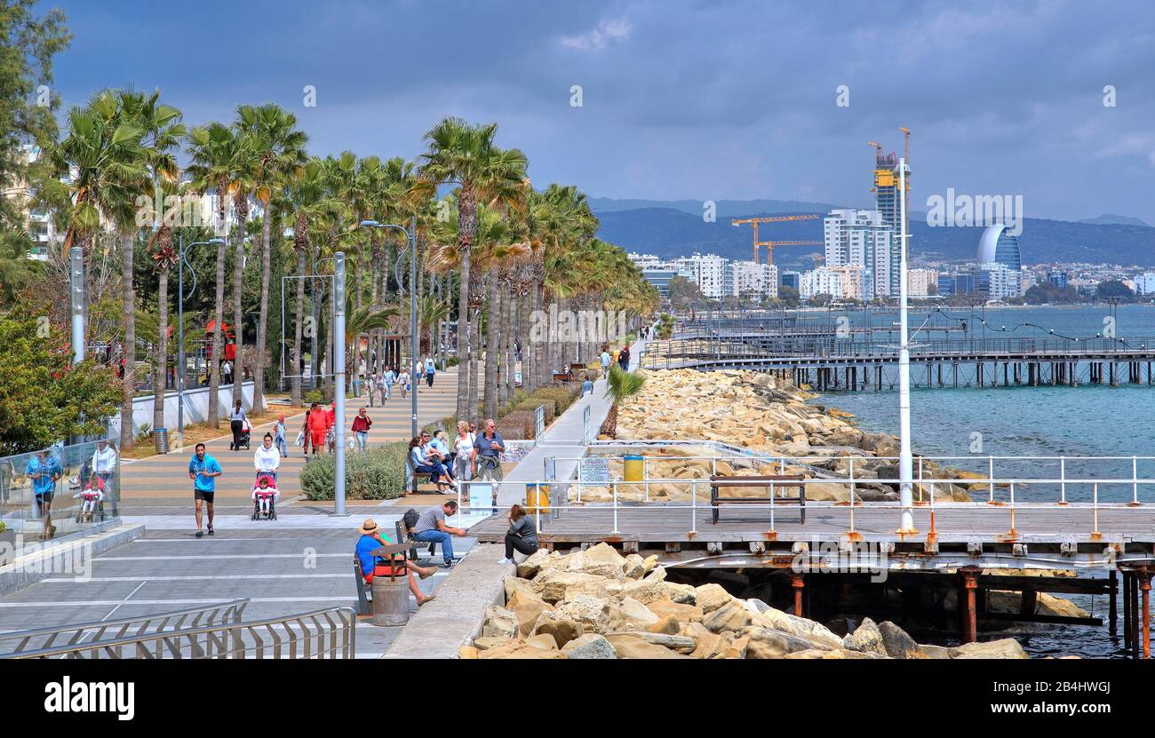 Palmenpromenade am Meer Limassol, Bucht von Akrotiri, Mittelmeer, Zypern Stockfoto