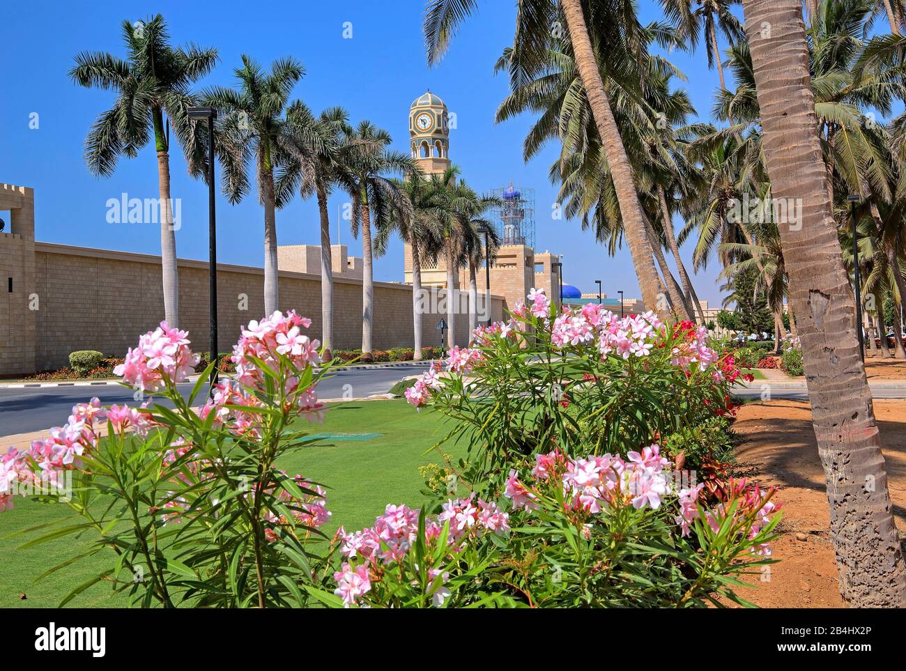 Palmen mit Palastmauer und Uhrturm aus dem Sultanspalast, Salalah, Arabisches Meer, Oman Stockfoto