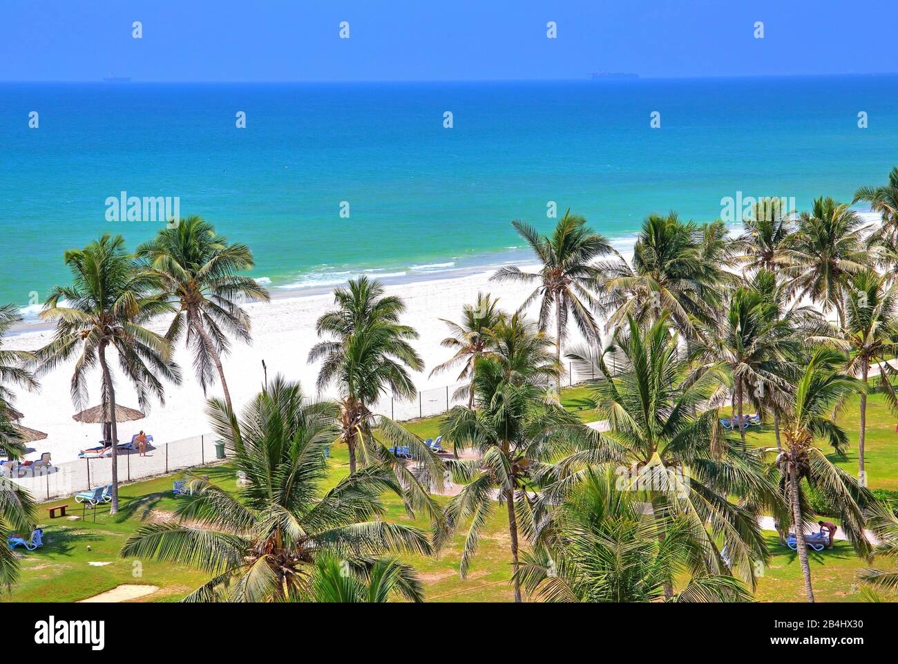 Palmen und Strand, Salalah, Arabisches Meer, Oman Stockfoto