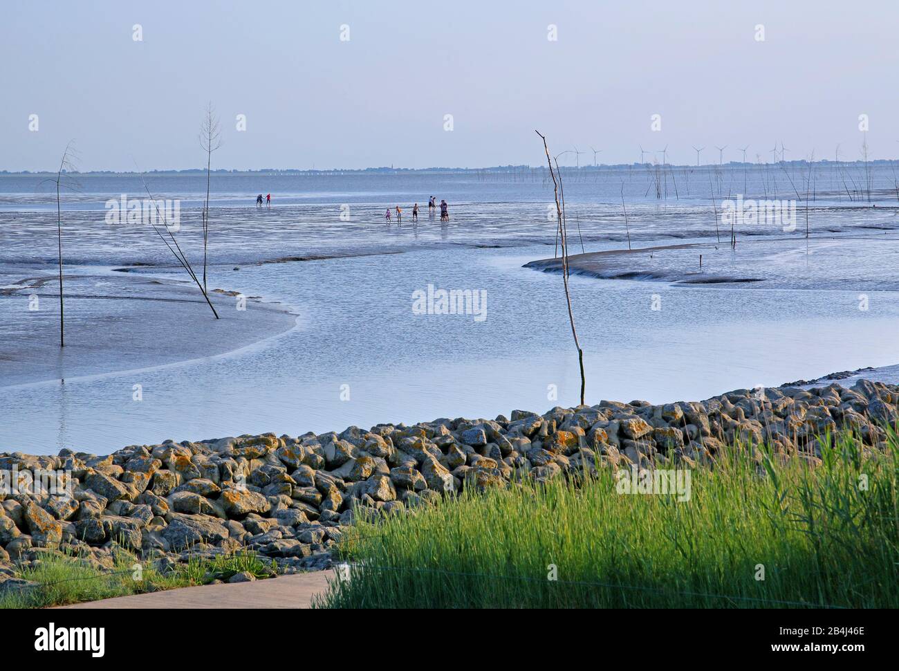 Wattwander im Wattenmeer bei Ebbe, Nordseeresort Wremen, Land Wursten, Wesermünde, Nordsee, Nordseeküste, Nationalpark Niederes Wattenmeer, Niedersachsen, Deutschland Stockfoto