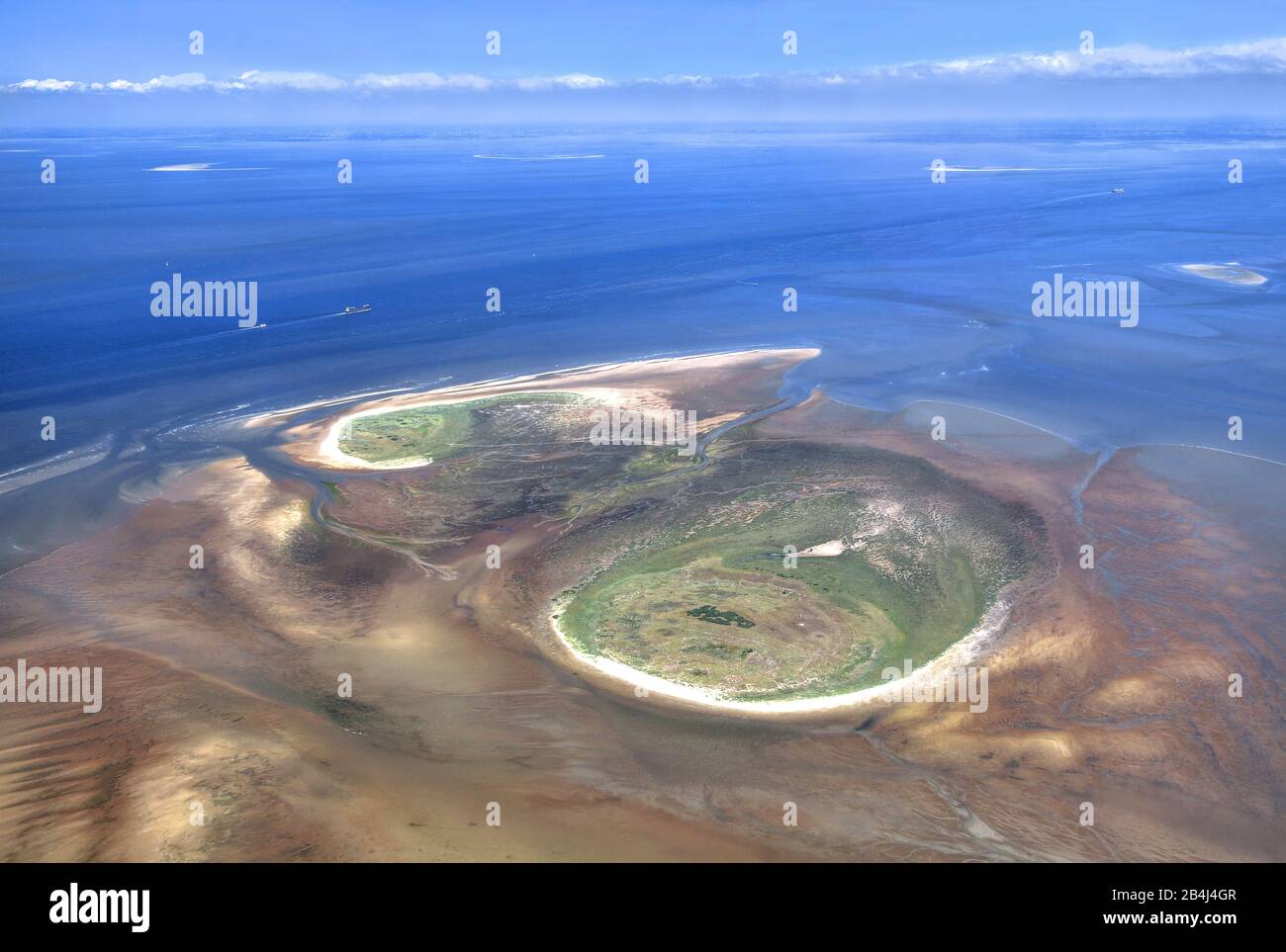 Scharhörninsel mit Sandbänken im Nationalpark Hamburgisches Wattenmeer, Landkreis Neuwerk, Hamburg, Land Hamburg, Nordsee, Deutschland Stockfoto