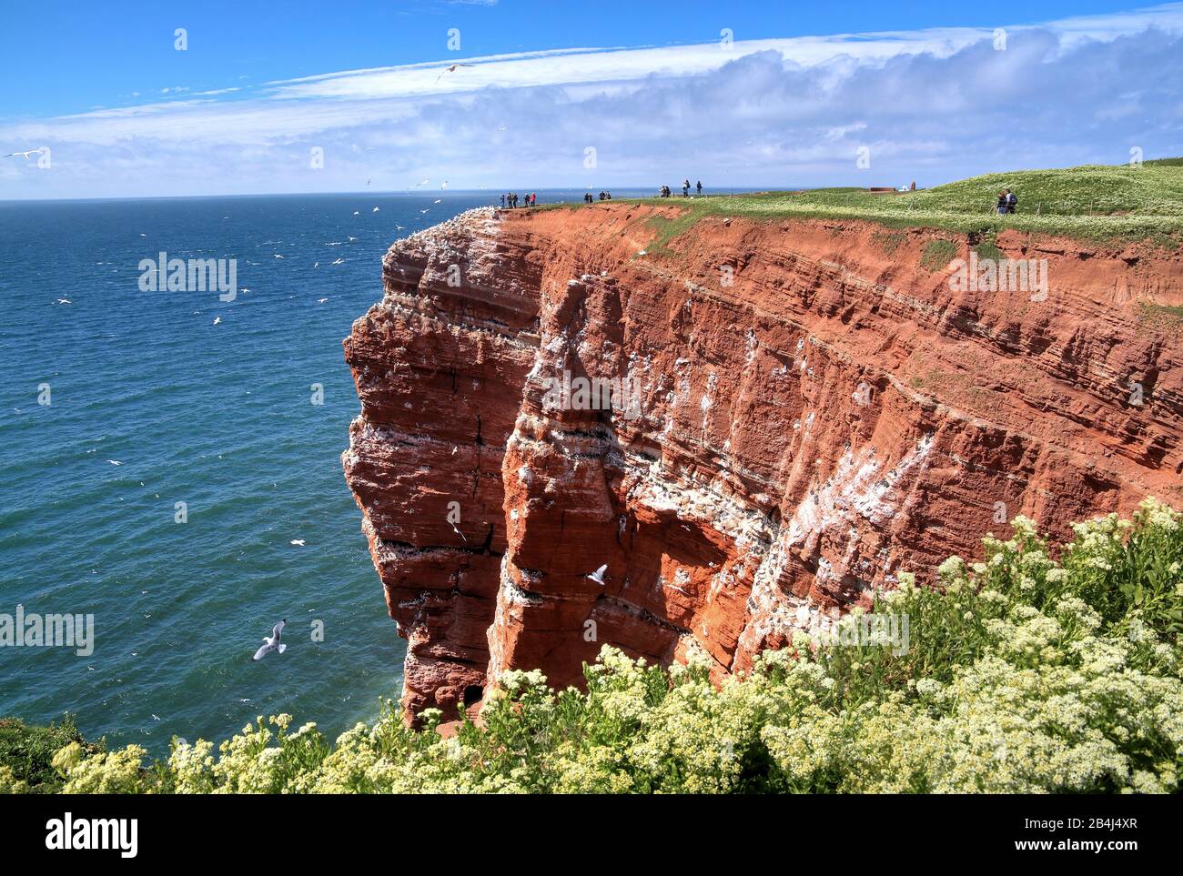 Nordwestliche Felswand, Heligoland, Heligoland Bay, Deutsche Bucht, Nordseeinsel, Nordsee, Schleswig-Holstein, Deutschland Stockfoto