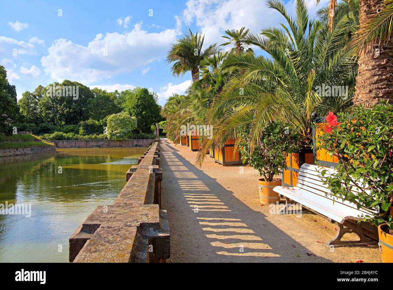 Palmengarten am Burggraben im Kurpark Bad Pyrmont, Staatsbad Emmertal, Weserbergland, Niedersachsen, Deutschland Stockfoto