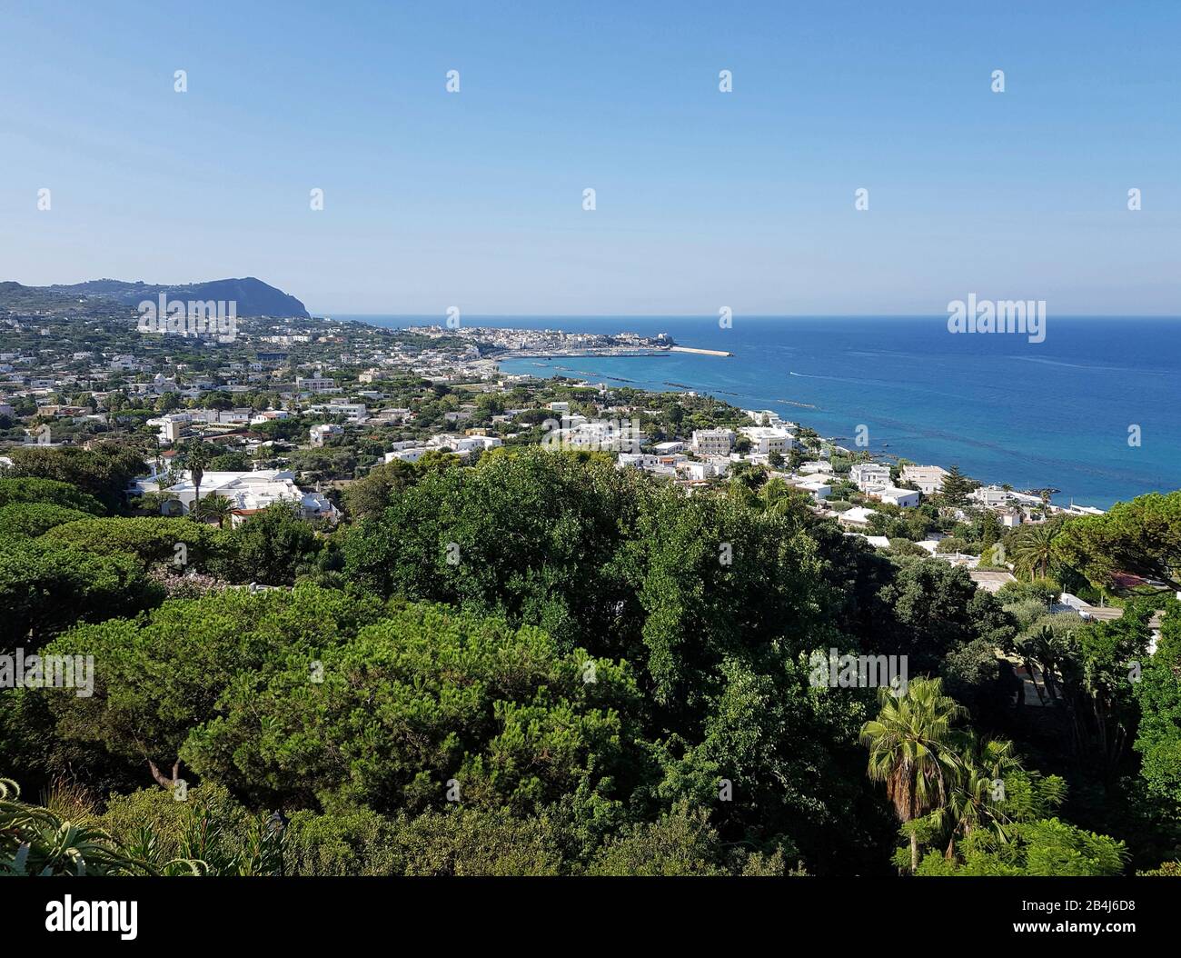 Forio, Giardini della Mortella, botanischer Garten, prächtiger Landschaftspark mit vielen exotischen Pflanzen mit Blick auf Forio, Ischia, Italien Stockfoto