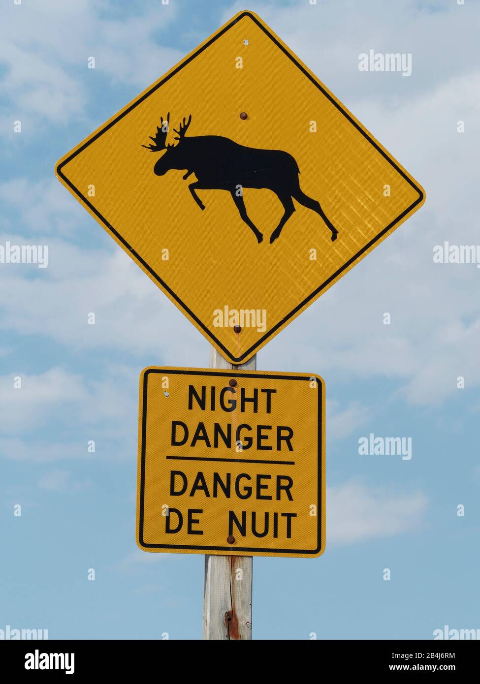 Algoma Region, Herbst, Zweisprachig, Kanada, Nachtgefahren, Straßenschild, Ontario, Trans Kanada Highway Stockfoto