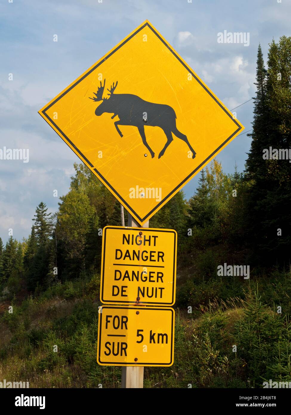 Algoma Region, Herbst, zweisprachig, Kanada, Gruppe Der Sieben, Nachtgefährdungsstraßenschild, Ontario, Trans-Kanada Highway, Reise, Warnschild, Wildnis, Tierwelt, Gelb-Elch-Straßenschild Stockfoto