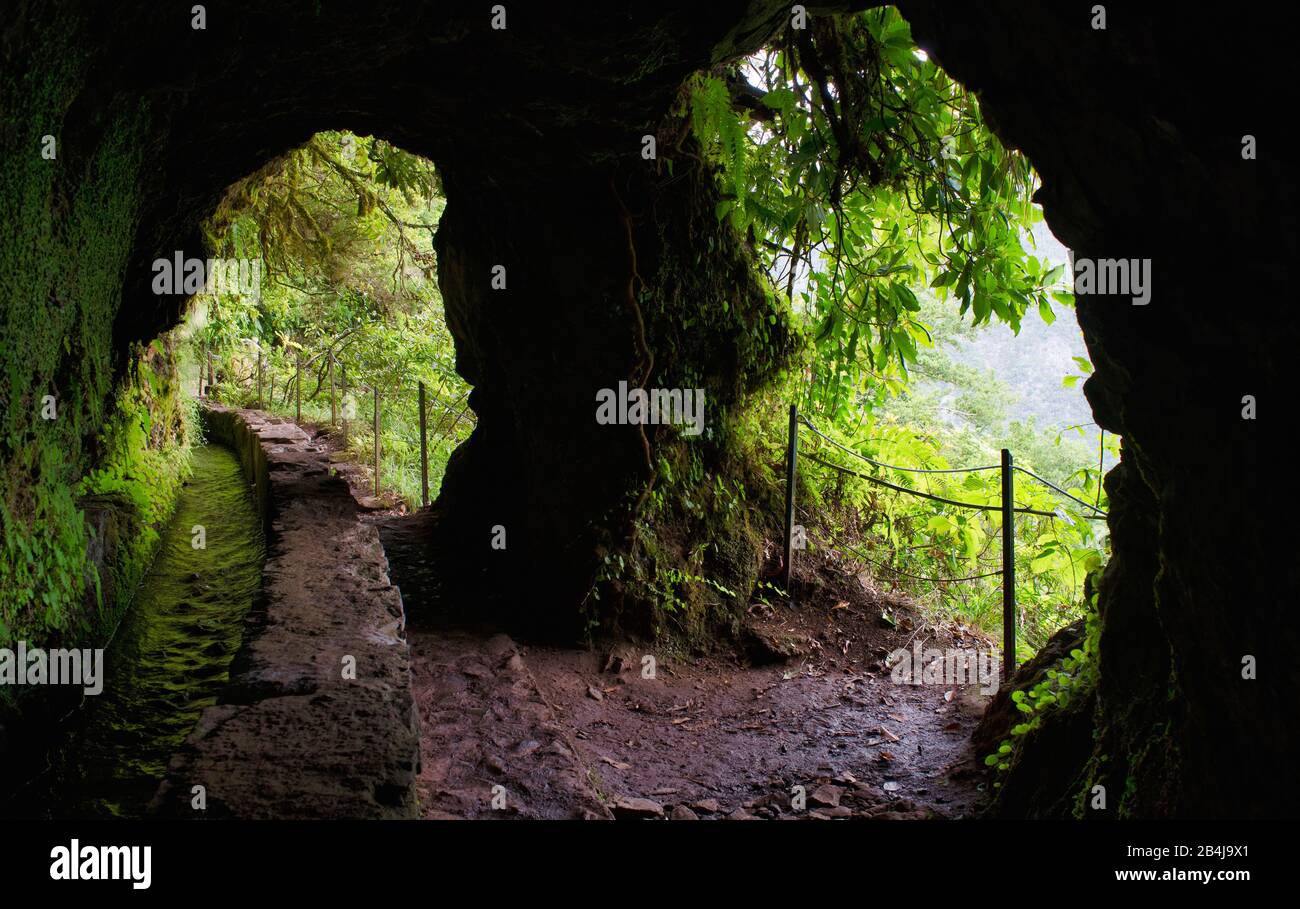 Doppeltor führt aus dem Tunnel, PR 9 Caldeirao Verde Trail, Queimadas, Caldeirao do Inferno, Regenwald, entlang einer Levada, Madeira Insel, Portugal Stockfoto