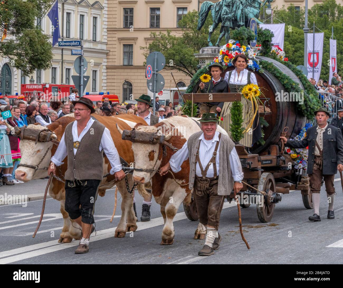 Ochsenkarren beim traditionellen Trachten- und Schützenzug zum Oktoberfest, Oktoberfestzug, München, Oberbayern, Bayern, Deutschland, Europa Stockfoto