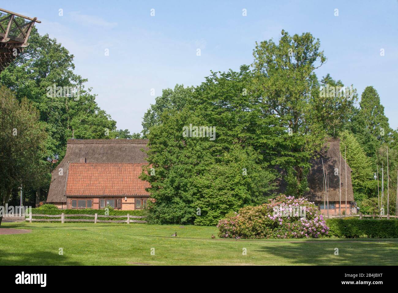 Bauernhaus im Freilichtmuseum Ammerländer Bauernhaus, Bad Zwischenahn, Niedersachsen, Deutschland, Europa Stockfoto