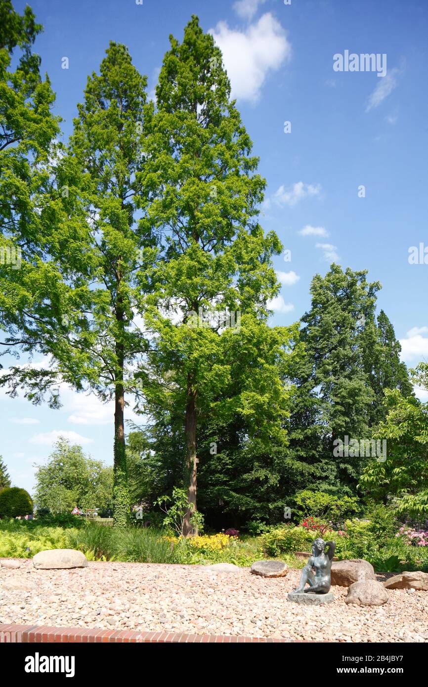 Kurpark, Bad Zwischenahn, Niedersachsen, Deutschland, Europa Stockfoto