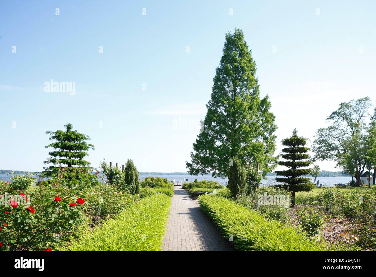 Kurpark, Bad Zwischenahn, Niedersachsen, Deutschland, Europa Stockfoto