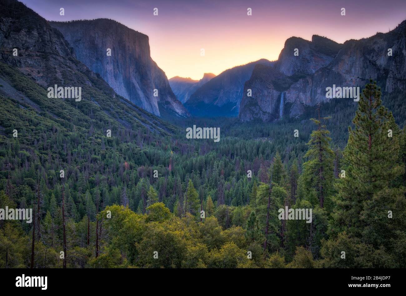 USA, Vereinigte Staaten von Amerika, Yosemite National Park, Kalifornien Stockfoto