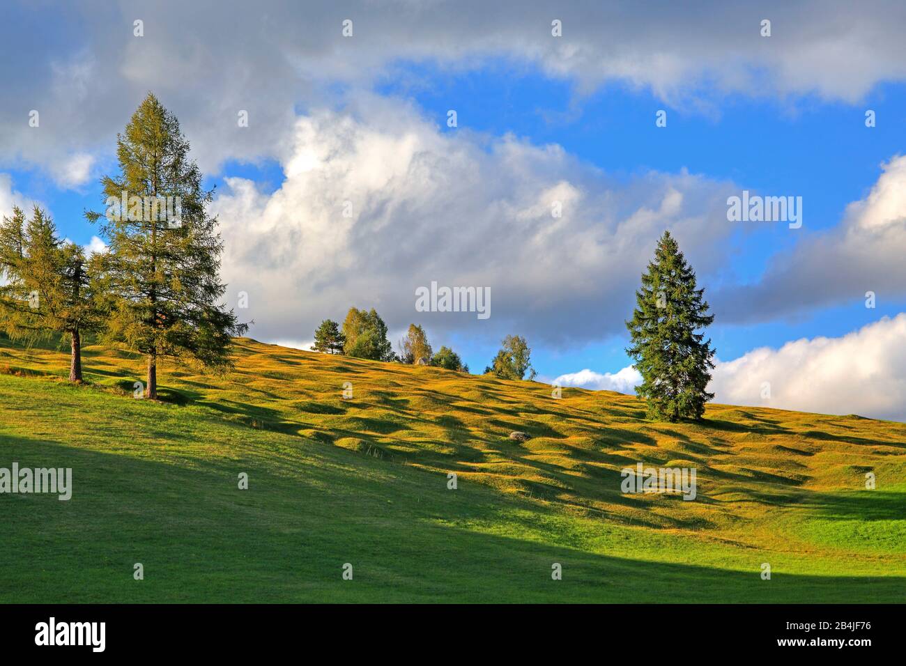 Herbstlandschaft der Buckelwiesen bei Krün, Werdenfelser Land, Oberbayern, Bayern, Deutschland Stockfoto