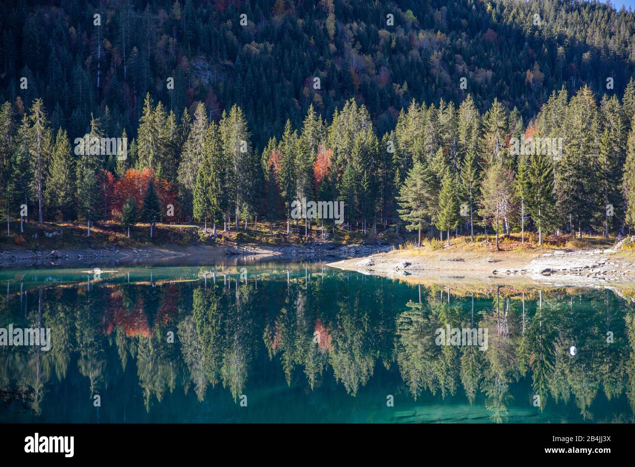 Lake Cauma, türkisfarbenes Wasser, Herbst, Wald, Stockfoto