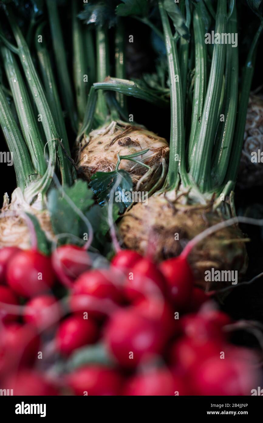 Radieschen und Sellerie auf dem Markt zum Verkauf, Nahaufnahme Stockfoto