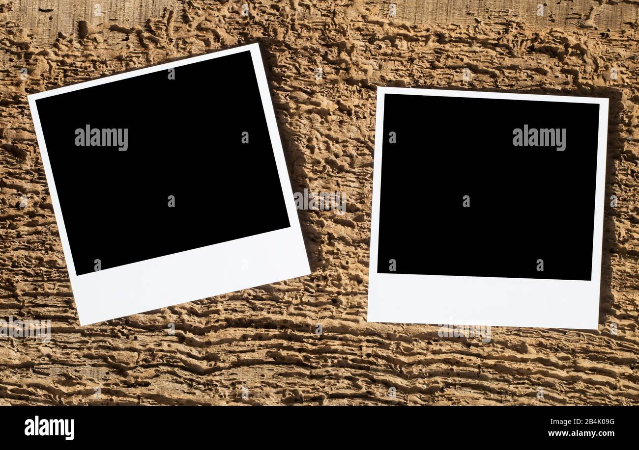 Zwei polaroid-bilder auf Holz ersetzen den schwarzen Fleck durch das gewünschte Bild Stockfoto