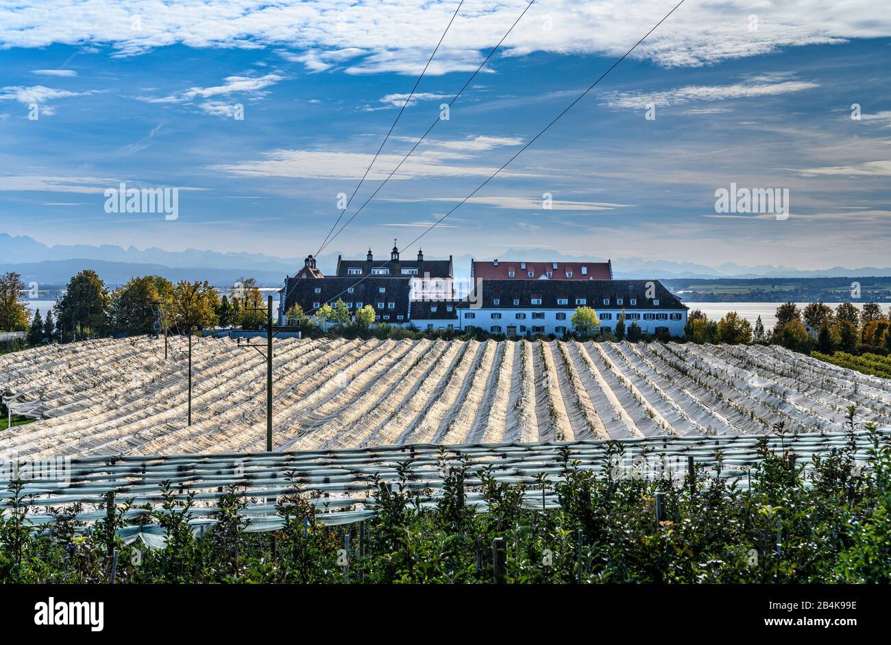 Deutschland, Baden-Württemberg, Bodensee, Immenstaad am Bodensee, Apfelweg, Schloss Kirchberg gegen Säntis Stockfoto