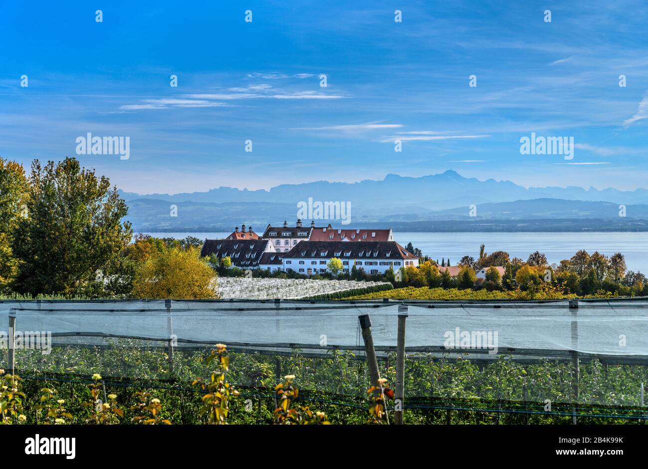 Deutschland, Baden-Württemberg, Bodensee, Immenstaad am Bodensee, Apfelweg, Schloss Kirchberg gegen Säntis Stockfoto