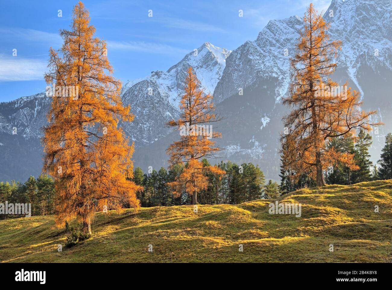 Herbstlandschaft am Höhenrain-Weg gegen Zugspitzberge (2962m), Grainau, Wettersteingebirge, Werdenfelser Land, Oberbayern, Bayern, Deutschland Stockfoto