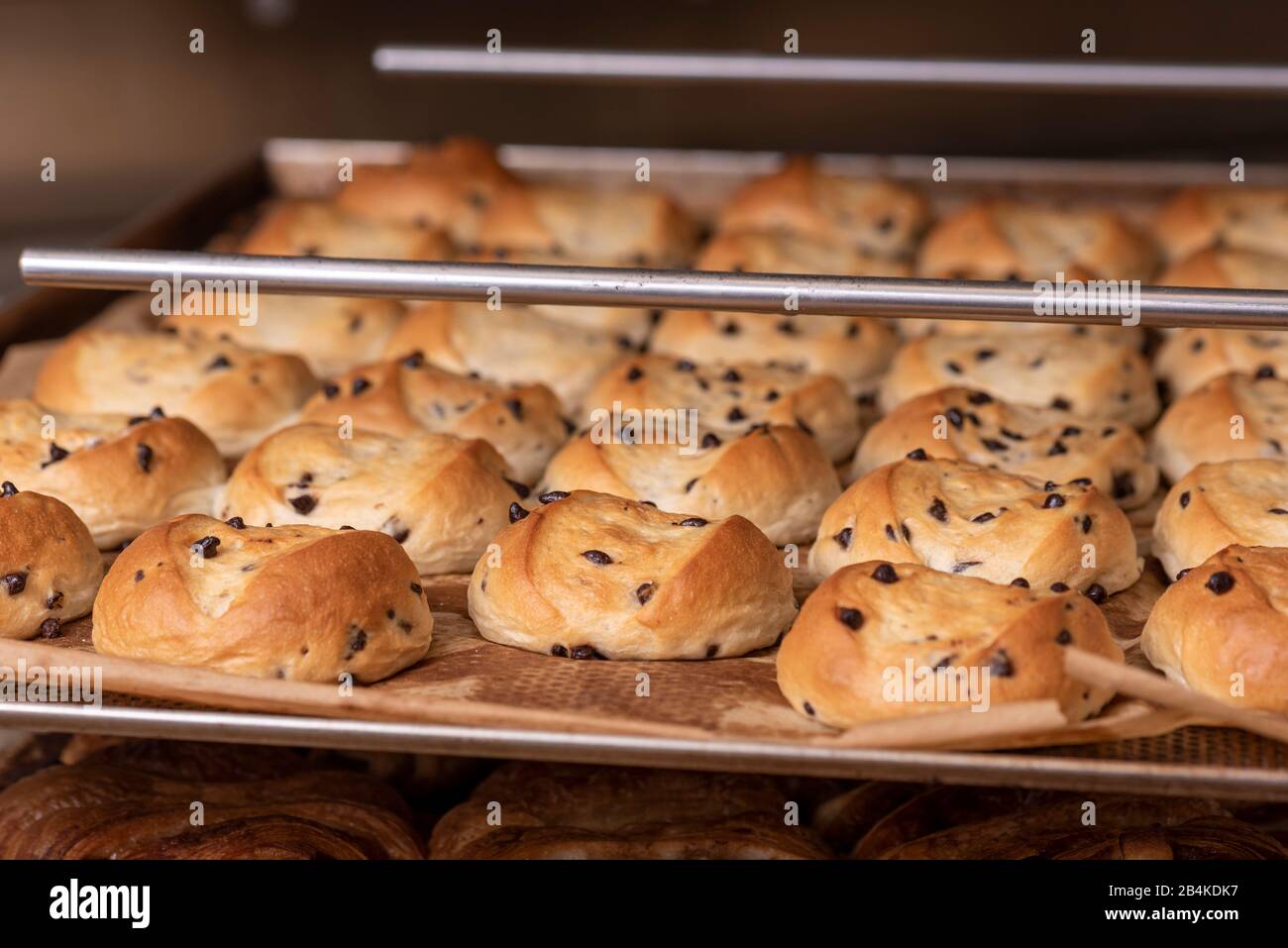 Auf einem Backblech stehen frische Schokobrötchen. Stockfoto