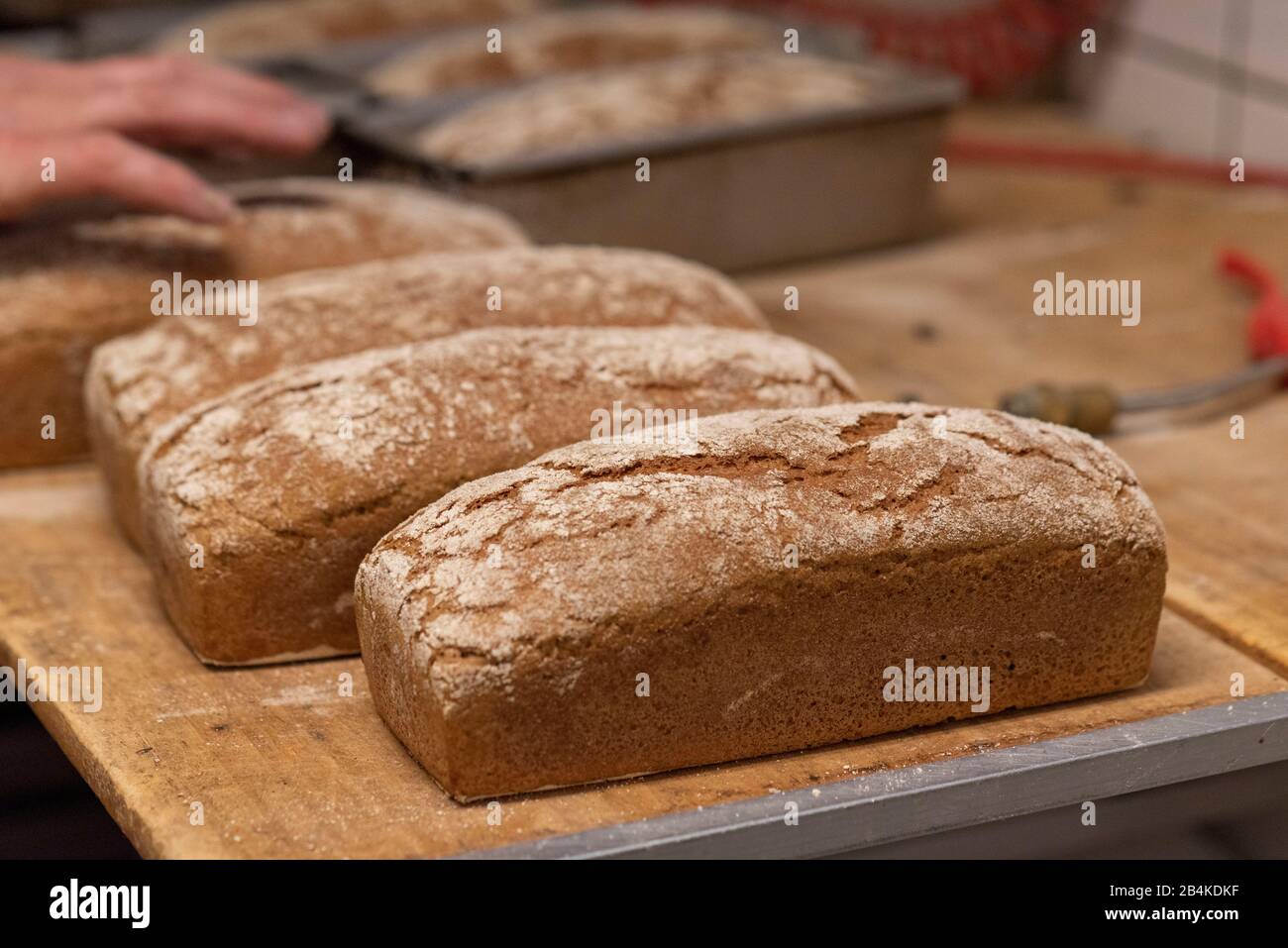 Auf einem Holzbrett liegen Kiste Brote. Stockfoto