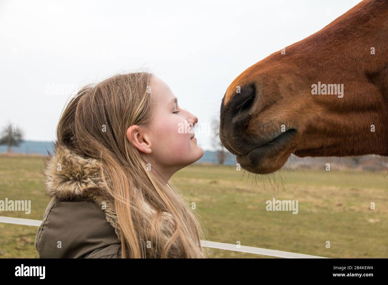 Kleben, junges Mädchen, junges Pferd, Nase an Nase, Nasenlöcher. Stockfoto