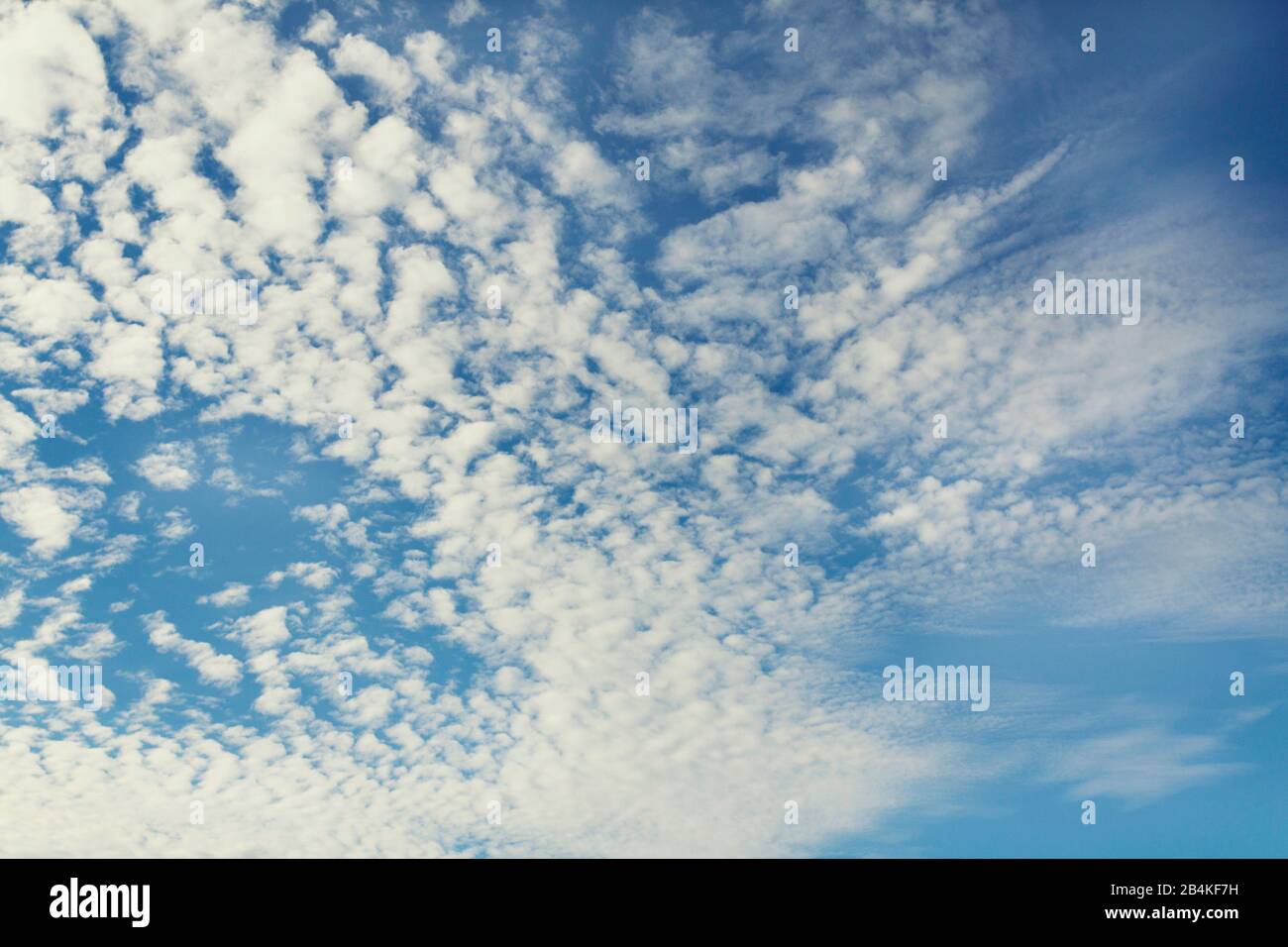 Weiß-blauer Sommerhimmel Stockfoto