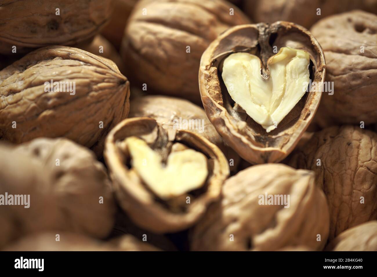 Walnüsse, die bereit zum Essen sind, innerhalb des herzförmigen Kernels Stockfoto