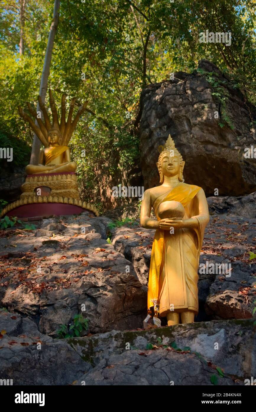 Goldene Buddhastatuen im Dschungel, auf dem Weg zum Gipfel des Mt Phou Si, einem heiligen Berg in Luang Prabang, Laos. Stockfoto